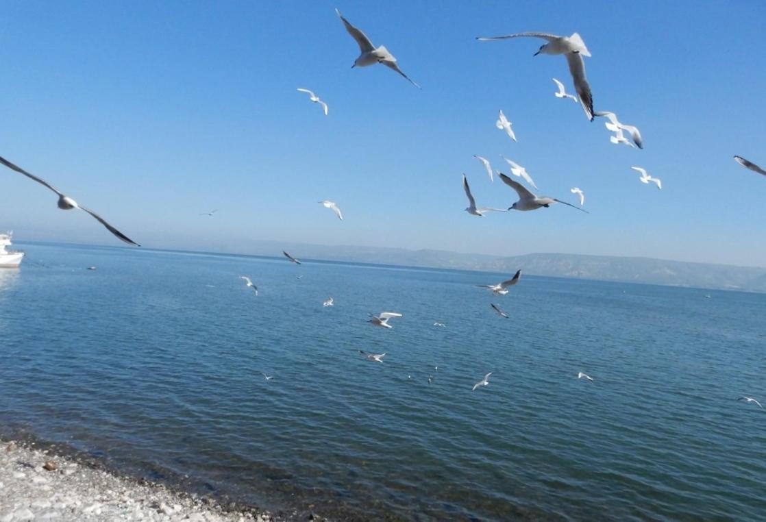 Shirat Ha-Agam Hotel Tiberias Kültér fotó
